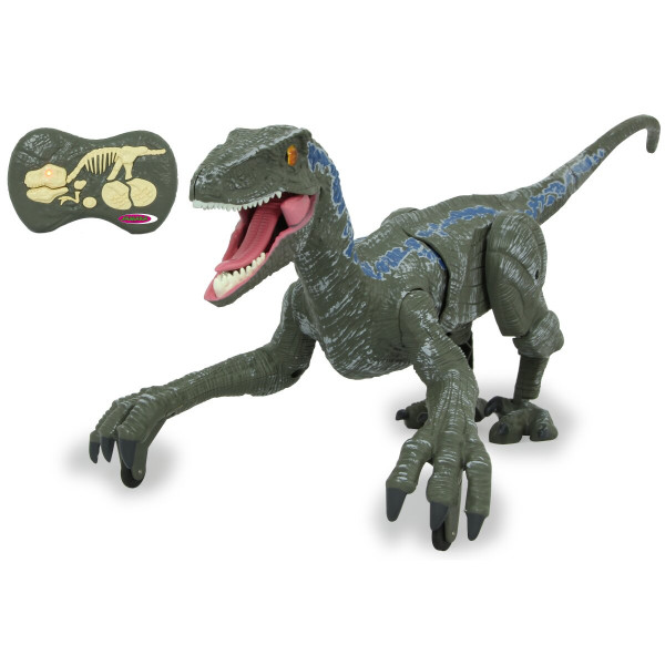 Dinosaurier Velociraptor
