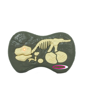 Dinosaurier Velociraptor