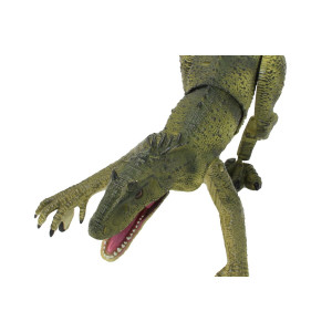 Dinosaurier Exoraptor